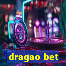 dragao bet