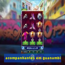 acompanhantes em guanambi