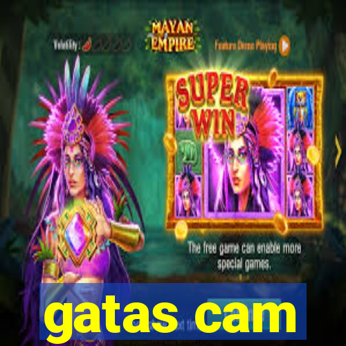 gatas cam