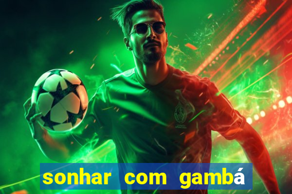 sonhar com gambá jogo do bicho