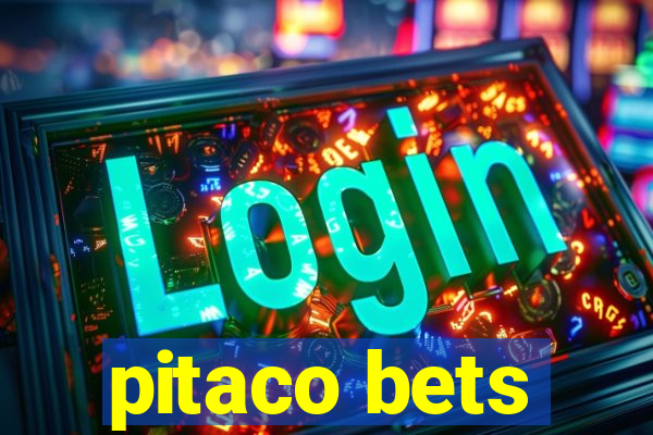 pitaco bets