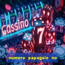 numero papagaio no jogo do bicho