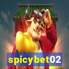 spicybet02